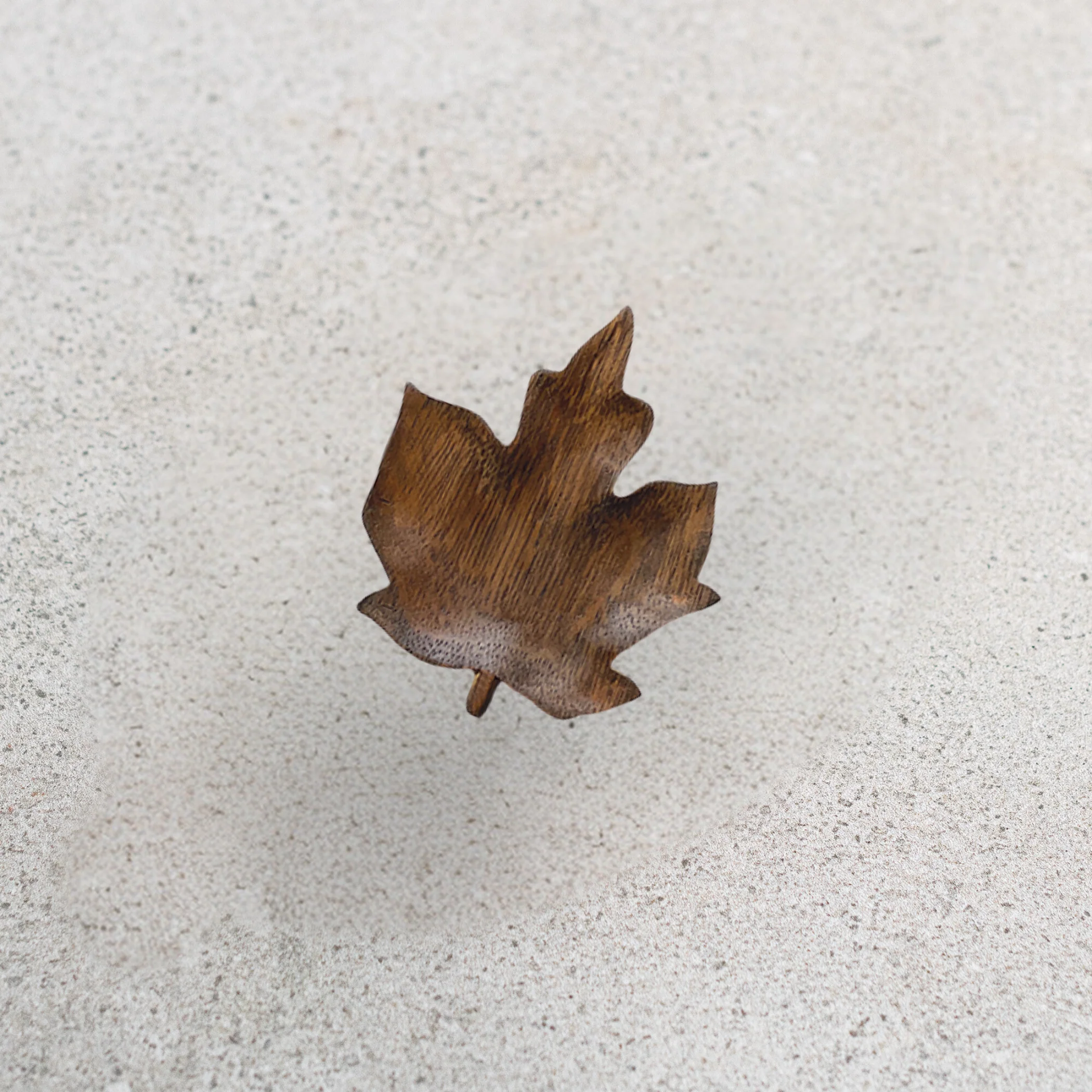 Flat Leaf Dish Maple (Small)
