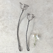 Cow Parsley Sprig (Large)