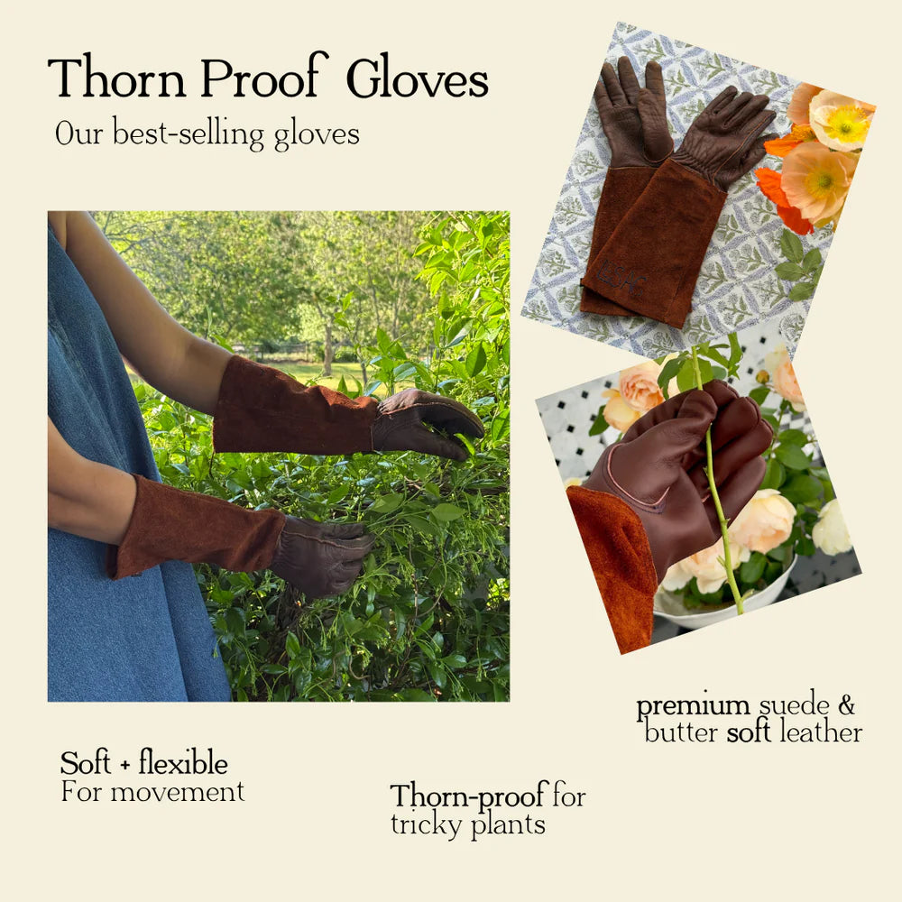 Thorn Proof Gloves