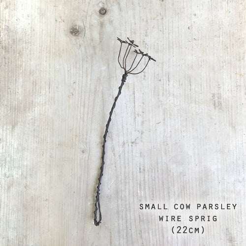 Wire Sprig Cow Parsley (Small)