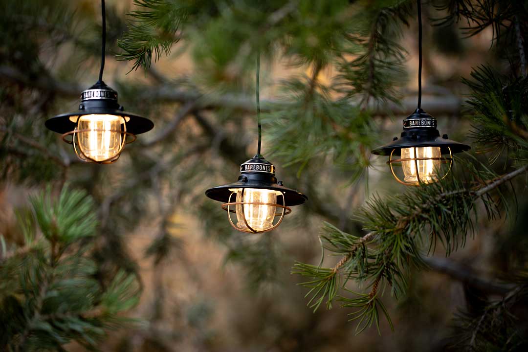 Edison String Lights - Bronze