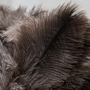Feather Duster Natural (300mm)