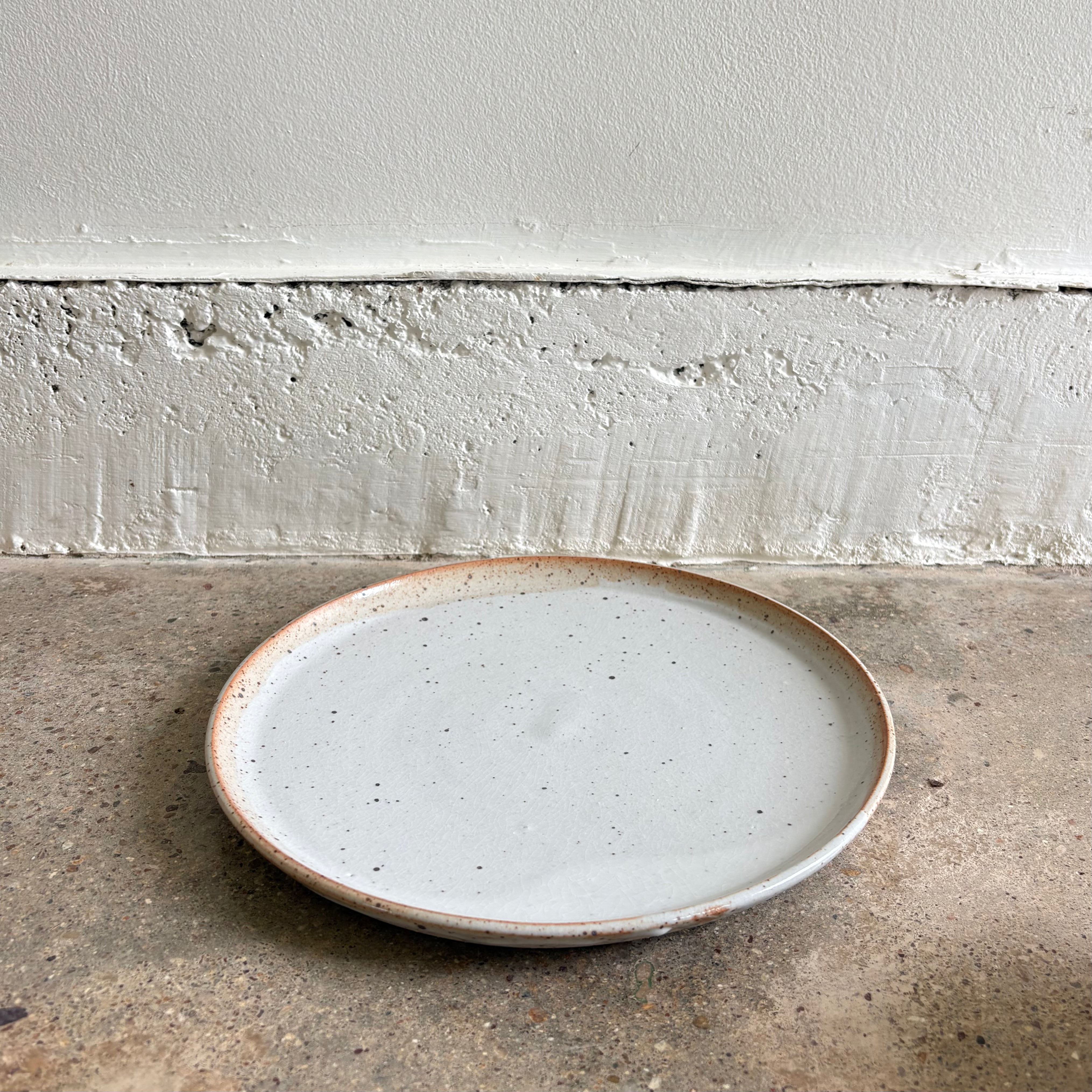 Dinner Plate - Shell