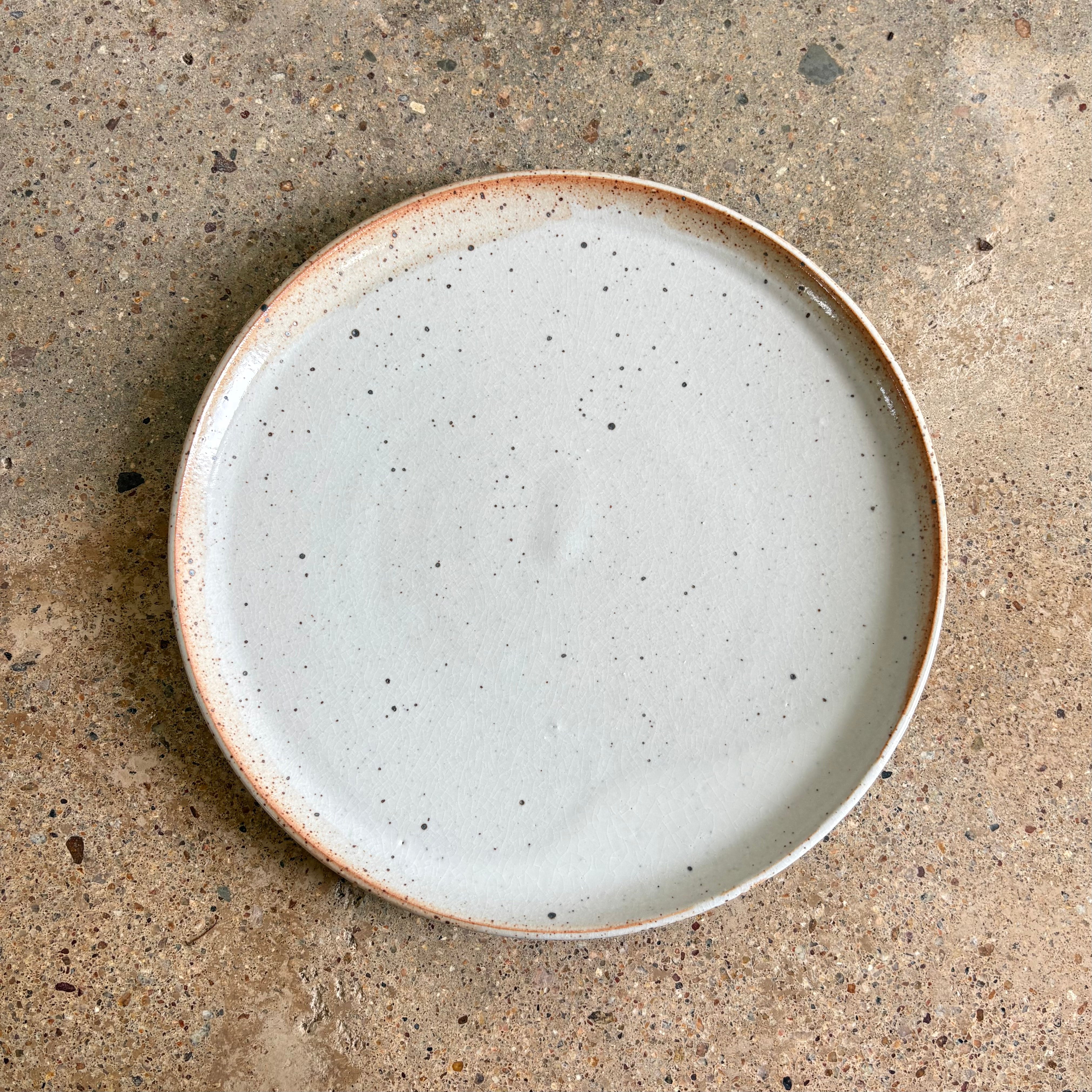 Dinner Plate - Shell