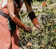 Thorn Proof Gloves