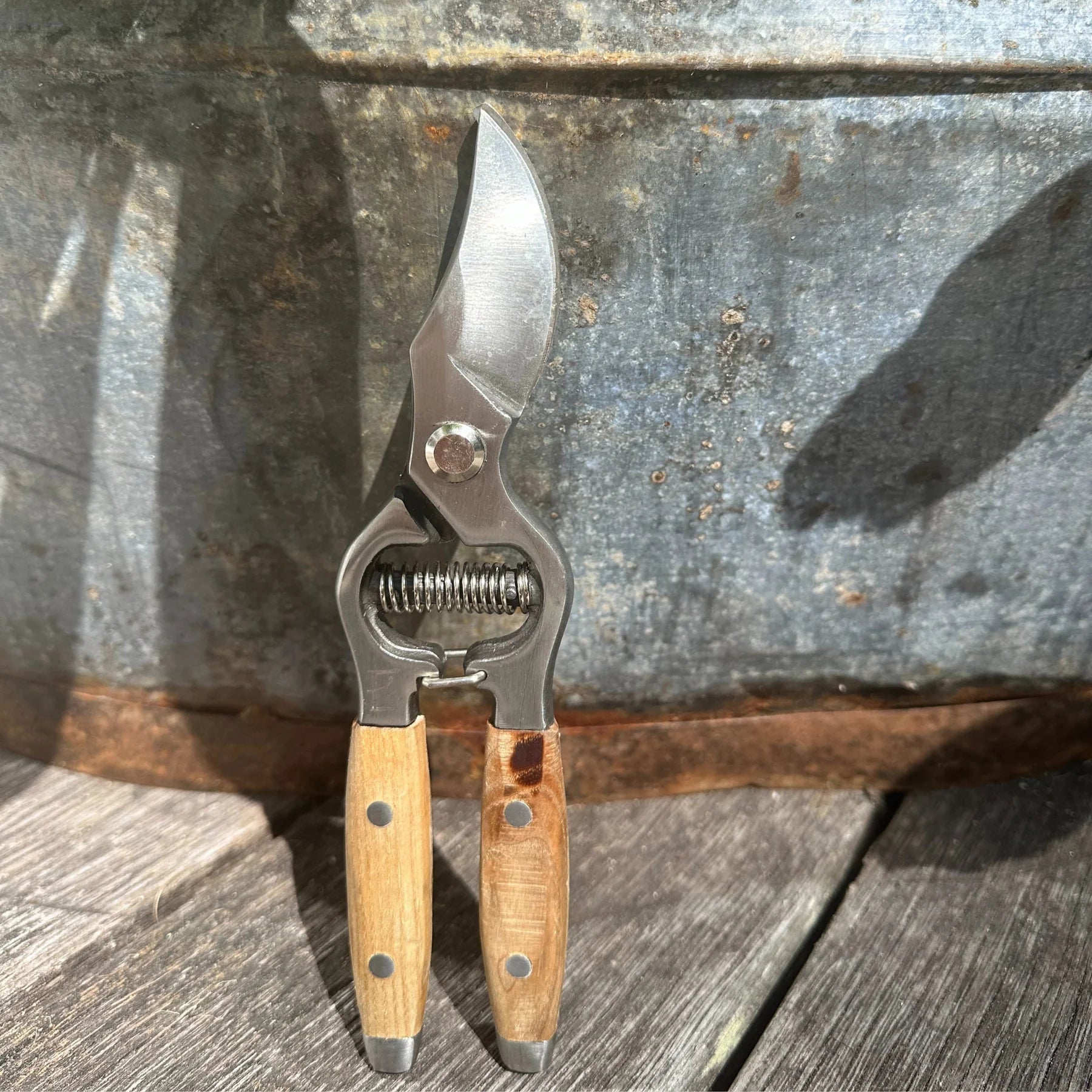 Secateurs Ash Handled