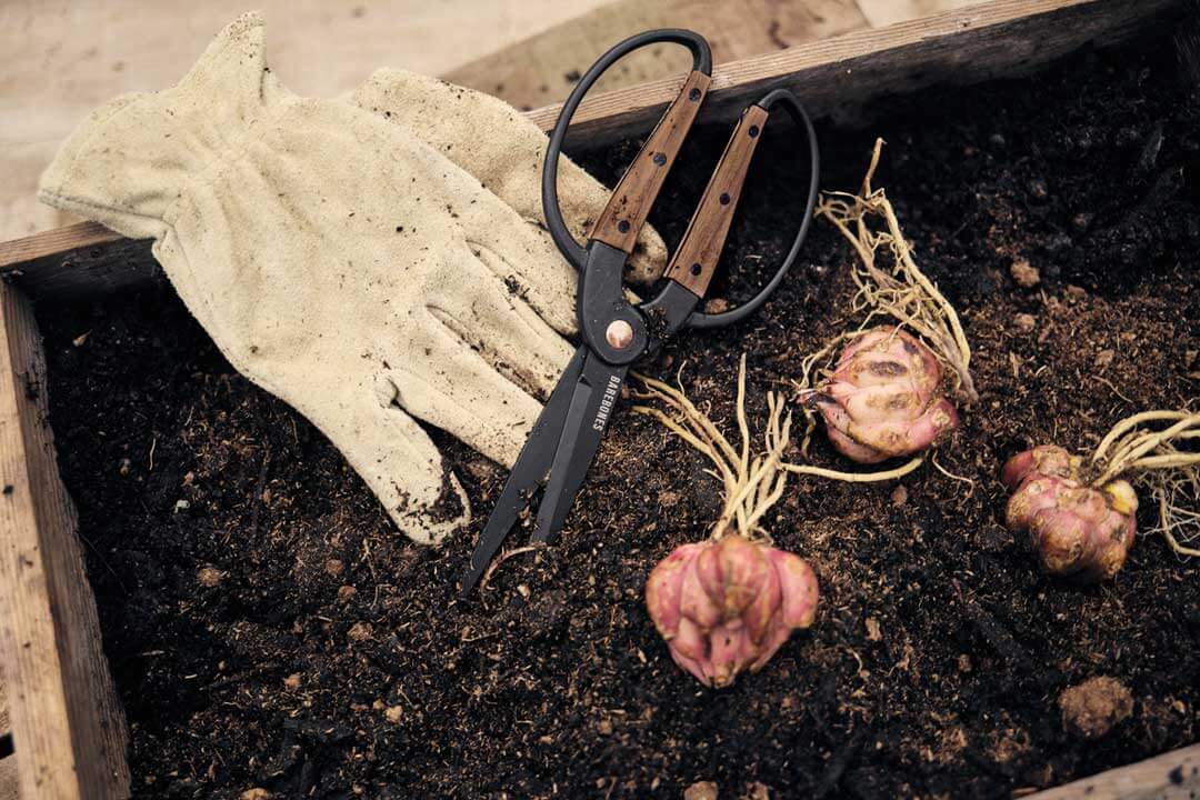 Scissors Large - Walnut