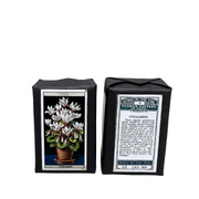 Gardener's Soap Cyclamen