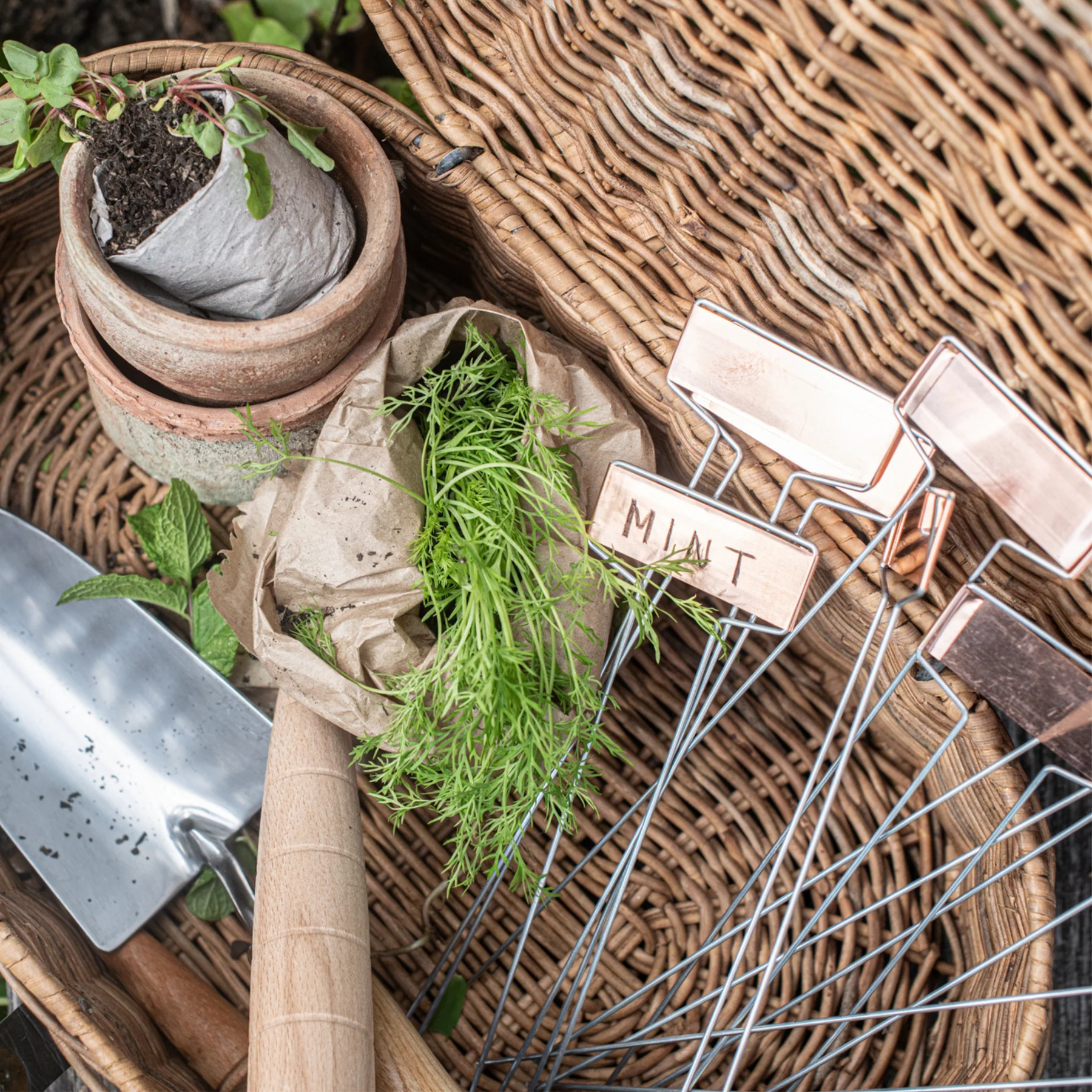 Copper Garden Label (10)