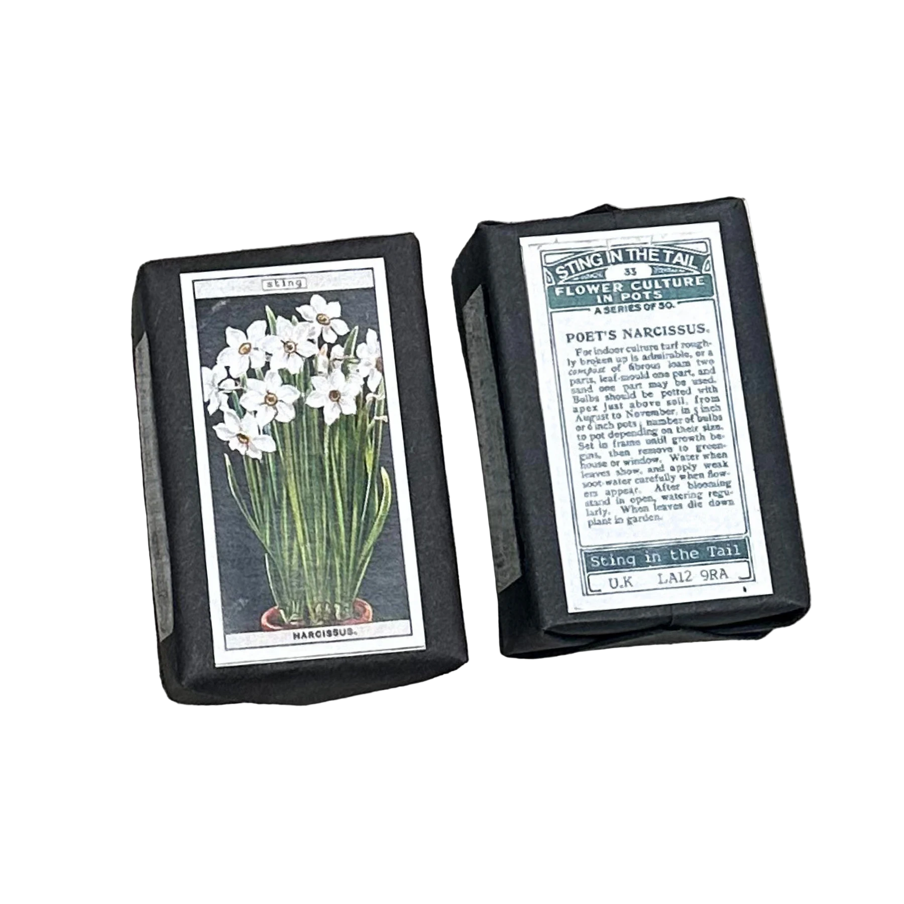 Gardener's Soap Narcissus