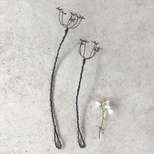 Cow Parsley Sprig (Large)